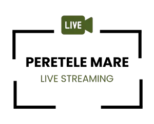 icon live streaming peretele mare