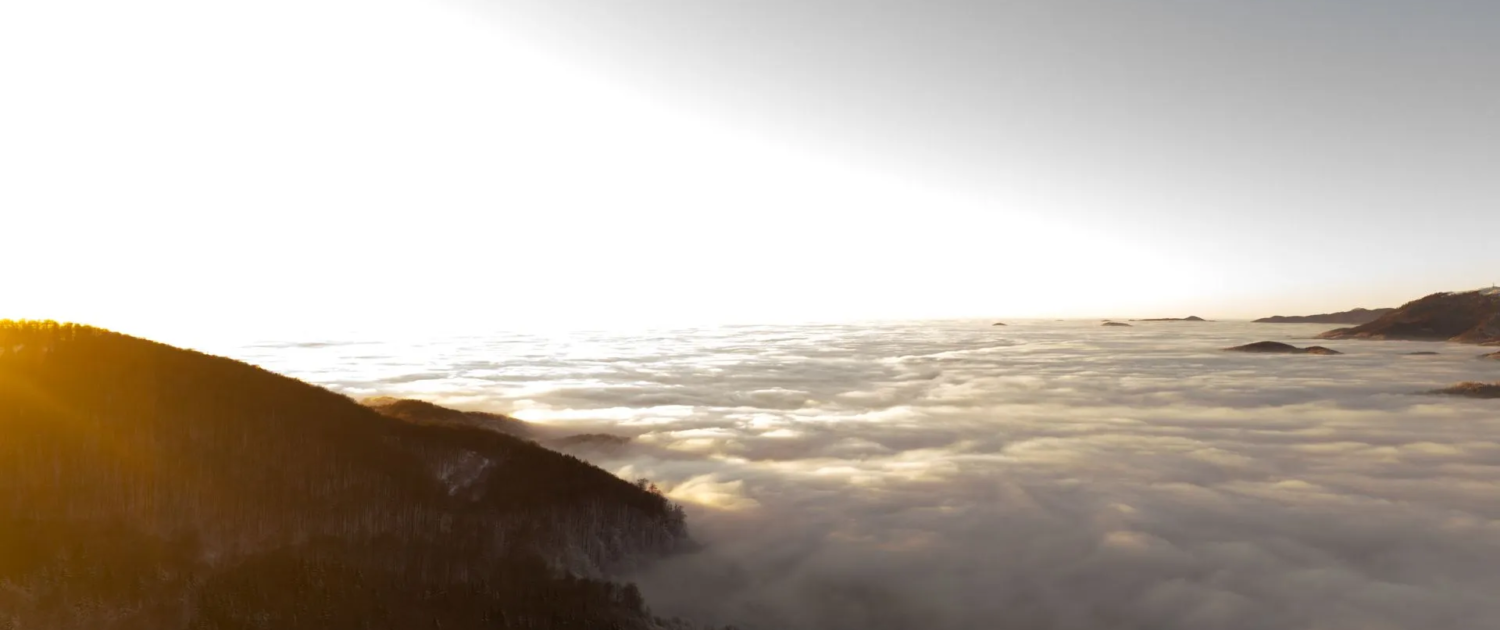 DJI_20250119165746_0131_D