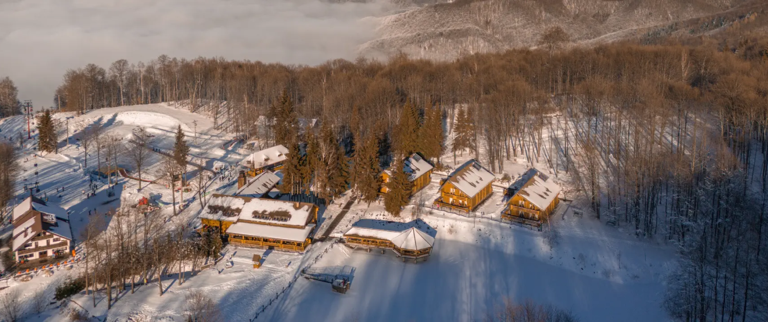 home_iarna_4